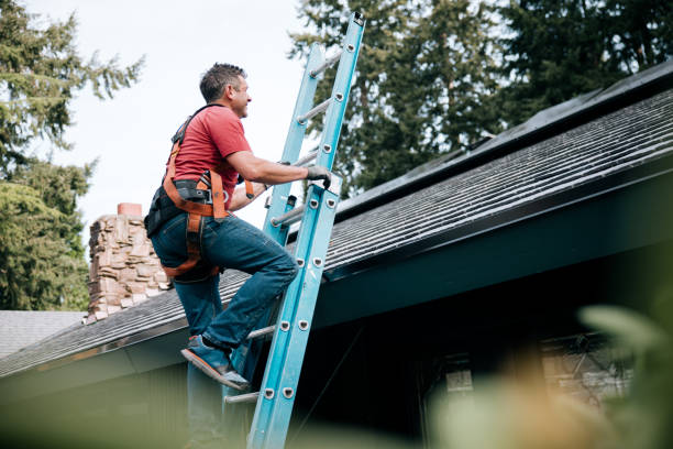 Best Roof Maintenance and Cleaning  in Lake Delta, NY